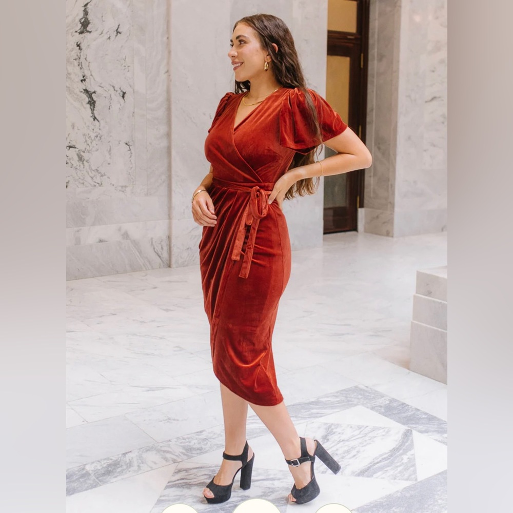 Ivy City Co velvet dress